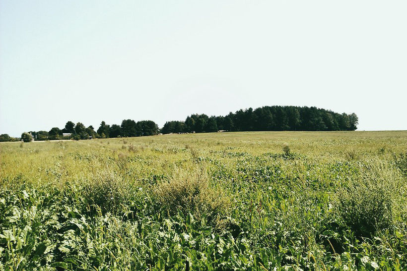  Была церковь — и нет церкви